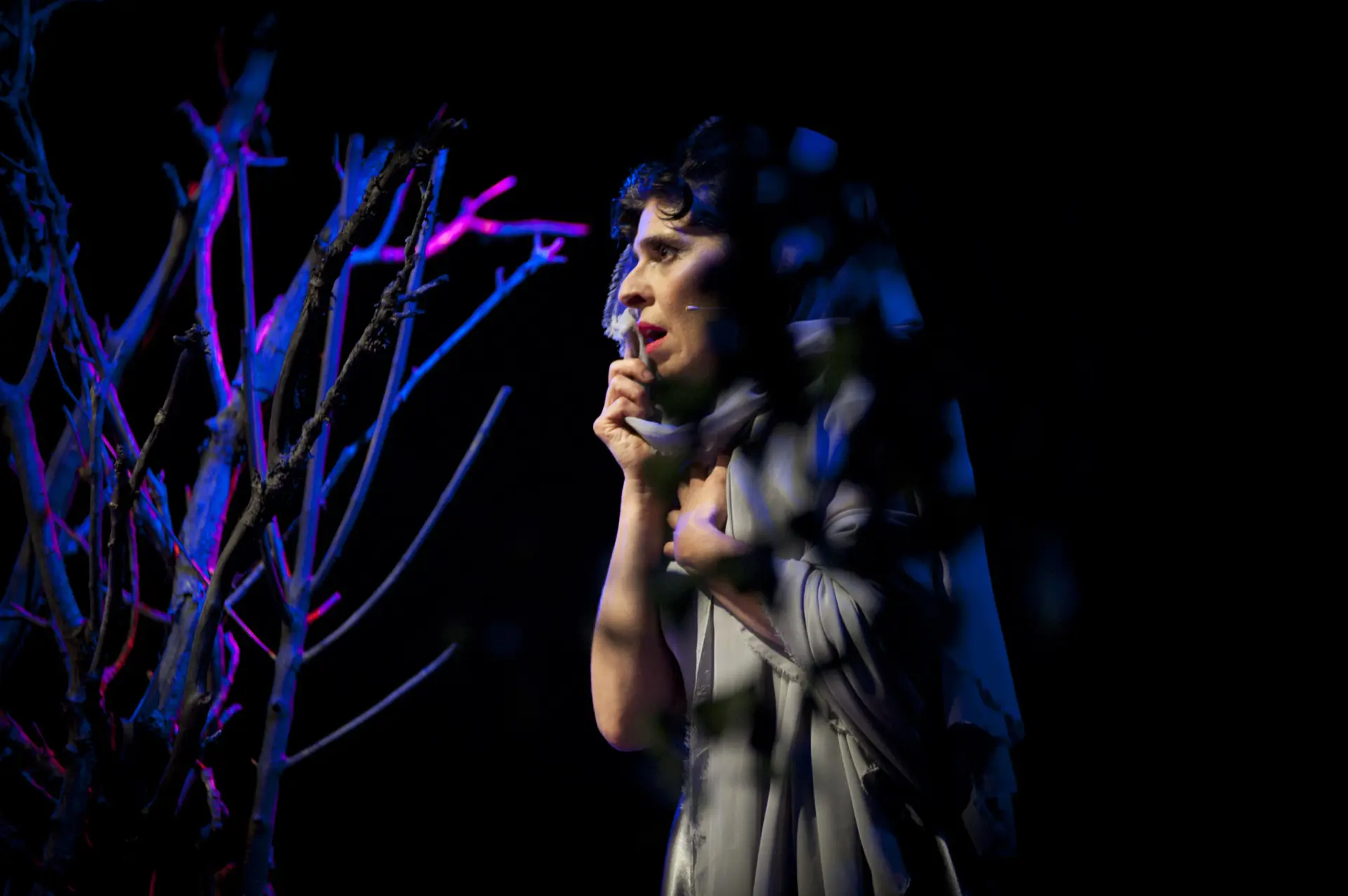 Operafest 2022 — Maratona Ópera XXI